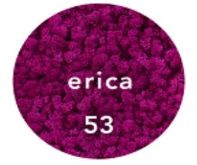 Preserved Lichen Moss Erica