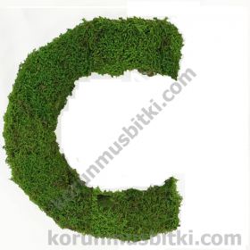 Preserved Moss Letter c