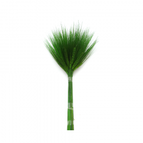 korunmuş bitki barley yeşil