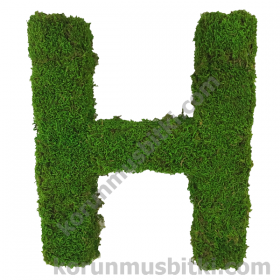 Preserved Moss Letter H