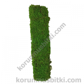 korunmuş yosun harf I