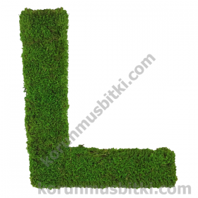 Preserved Moss Letter L