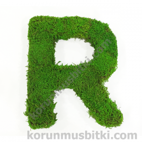 Preserved Moss Letter R