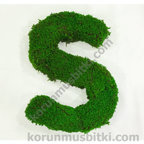 Preserved Moss Letter S