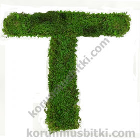 Preserved Moss Letter T