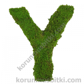 Preserved Moss Letter Y
