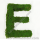 Preserved Moss Letter e