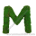 Preserved Moss Letter M