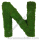 Preserved Moss Letter N