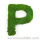 Preserved Moss Letter P