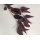preserved Eucalyptus claret red