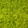 liken ren geyiği yosunu spring green yeşil
