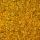 liken ren geyiği yosunu yellow