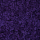 liken ren geyiği yosunu purple mor