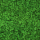 liken ren geyiği yosunu light grass green yeşil